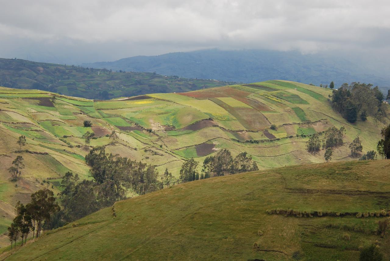 Turismo Comunitario La Esperanza Villa Hacienda Colta Kültér fotó